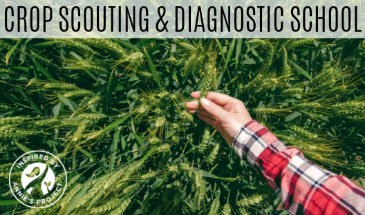 Crop Scouting & Diagnostic School