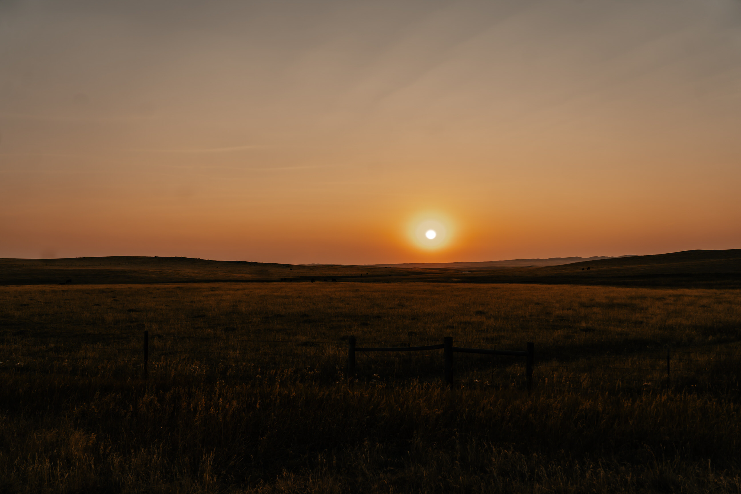 Sunset over a pasture