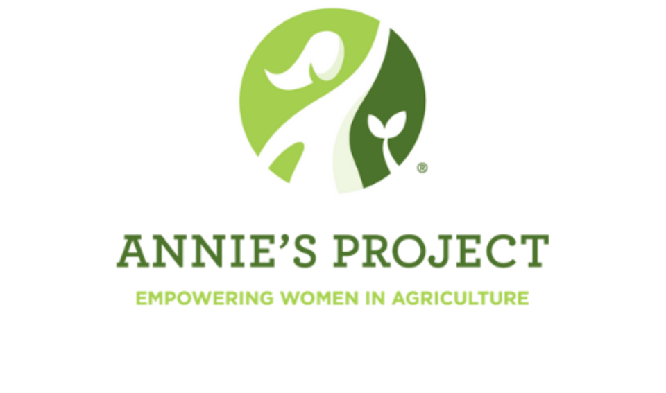 Annie's Project Logo