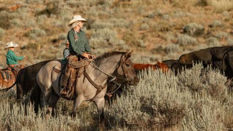 Female rancher on horseback herding cattle.